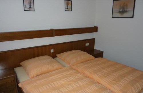 Mainz-Bingen House | Hotel Ockenheim