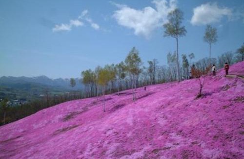 Monbetsu Hotel | Hotel Okhotsk Palace - Vacation STAY 24146v