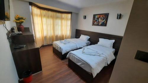 Darjeeling Hotel | Hotel Olive Branch Darjeeling Near Mall Road - Excellent Customer Service - Parking Facilities - Best Seller