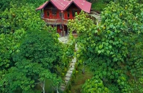 Bukit Lawang Hotel | Hotel Orangutan