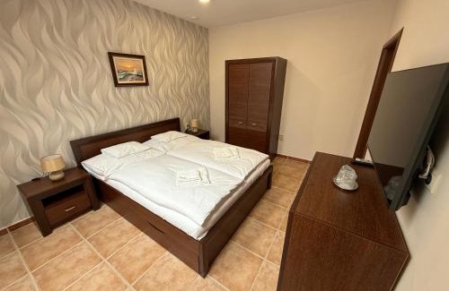 Velky Meder Hotel | Hotel Orchidea Spa & Wellness