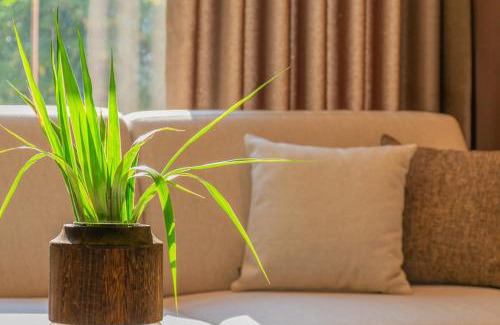 Momchilgrad Hotel | Hotel Osetia Garden