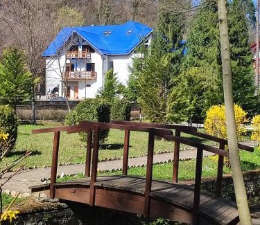 Geoagiu Hotel | Hotel Parc Geoagiu Bai