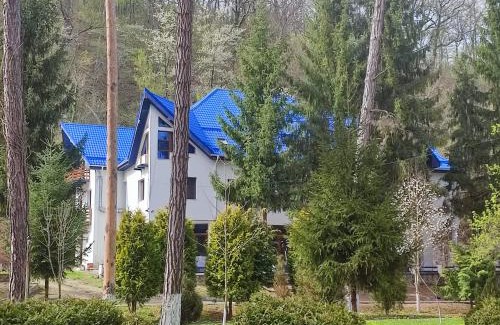 Geoagiu Hotel | Hotel Parc Geoagiu Bai