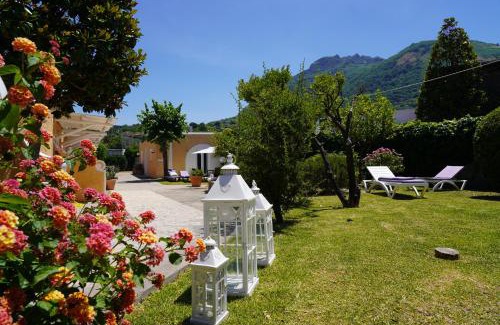 Forio Hotel | Hotel Parco Delle Agavi