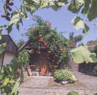 Beli Manastir Hotel | Hotel Patria