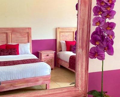 Xico Hotel | Hotel Pedregal