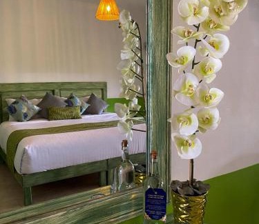 Xico Hotel | Hotel Pedregal