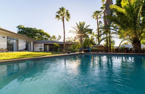 Klein Windhoek Hotel | Hotel Pension Palmquell