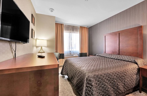 Queens Hotel | Hotel Pergola JFK Airport