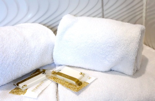 Anderlecht Hotel | Hotel Phenix