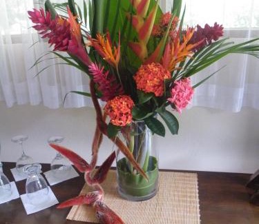 Manuel Antonio Hotel | Hotel Playa Espadilla & Gardens