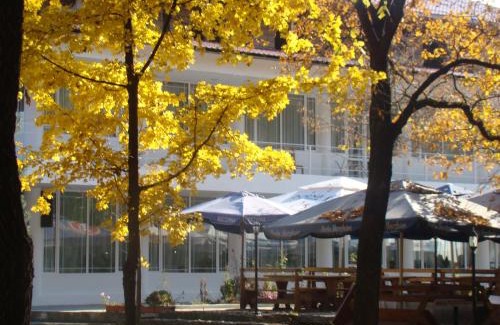 Corbii Mari Hotel | Hotel Popasul Iancului
