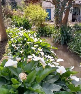 Villa del Totoral House | Hotel Posada El Recodo