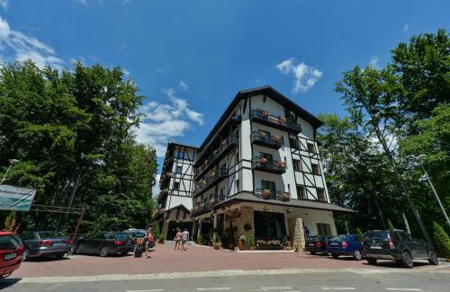 Arefu Hotel | Hotel Posada Vidraru