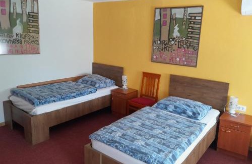 Novo Mesto Hotel | Hotel Pri Belokranjcu