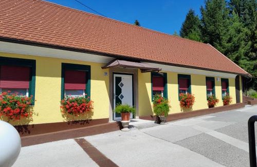 Novo Mesto Hotel | Hotel Pri Belokranjcu