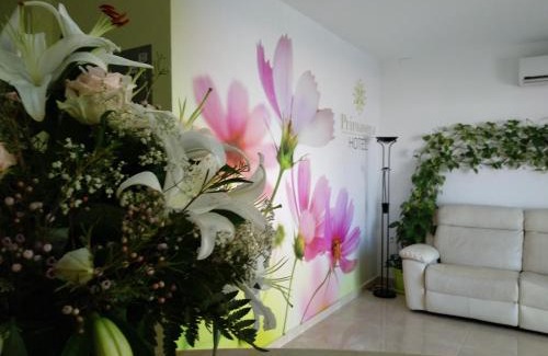 Calasparra Hotel | Hotel Primavera