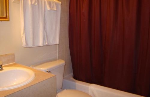 Latin Quarter Hotel | Hotel Quartier Latin