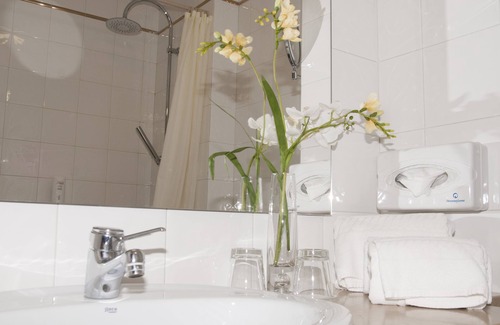Castelo Branco Hotel | Hotel Rainha D. Amelia, Arts & Leisure
