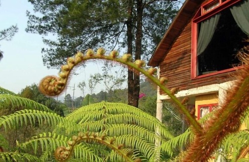 Purulha Hotel | Hotel Ram Tzul