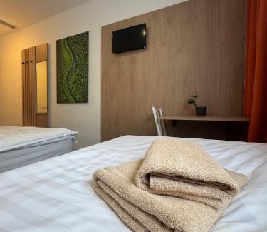 Nove Mesto Hotel | Hotel Remy