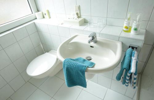 Neuenburg am Rhein Hotel | Hotel-Restaurant Gasthof Adler