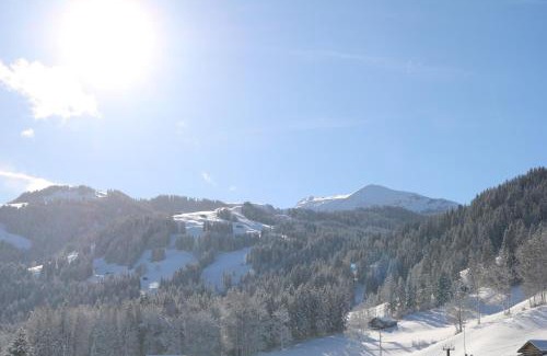 Oeschseite Hotel | Hotel & Restaurant Diana