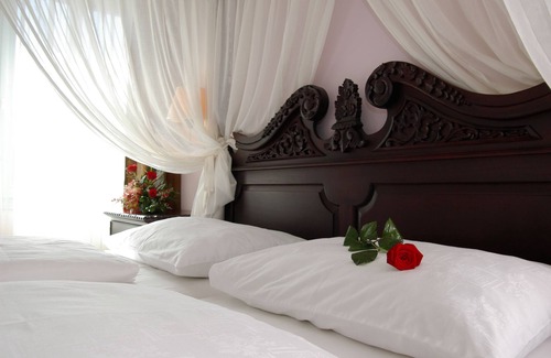 Delnice Hotel | Hotel Risnjak