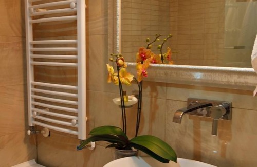 Roman Hotel | Hotel Roman By Dumbrava Business Resort