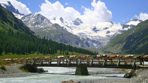 Samedan Hotel | Hotel Roseg-Gletscher