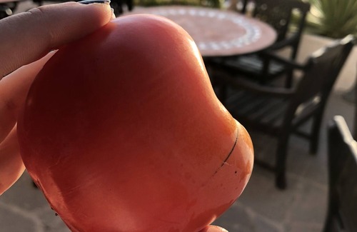 Hermigua Hotel | Hotel Rural Ibo Alfaro