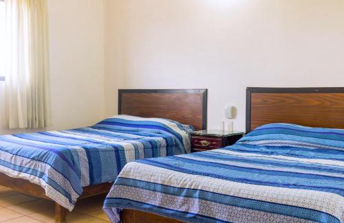 Zona Centro Hotel | Hotel Saja