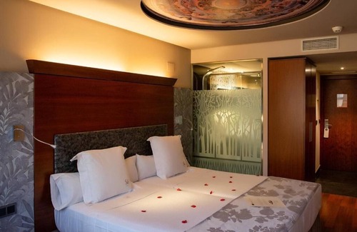 Casco Antiguo Hotel | Hotel Sancho Abarca Petit SPA
