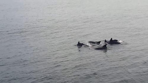 Acandi Hotel | Hotel Santiago Plaza Acandí