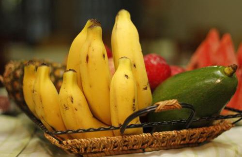 Boa Vista do Burica Hotel | Hotel Schwab