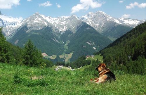 Lutago Hotel | Hotel Schwarzbachhof