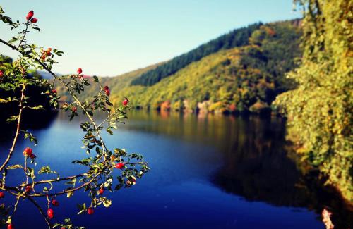 Einruhr Hotel | Hotel Seemöwe