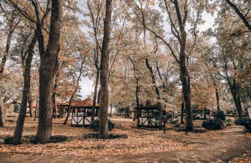 Polyana Hotel | Hotel Selena Family Resort