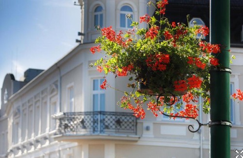 Zbaszyn Hotel | Hotel Senator