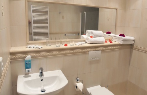 Ludvikov Hotel | Hotel Singer