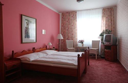 Trebic Hotel | Hotel Solaster Garni