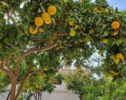 Province of Cagliari Hotel | Hotel Soleo