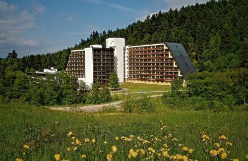 Lubovnianske Kupele Hotel | Hotel SOREA ĽUBOVŇA