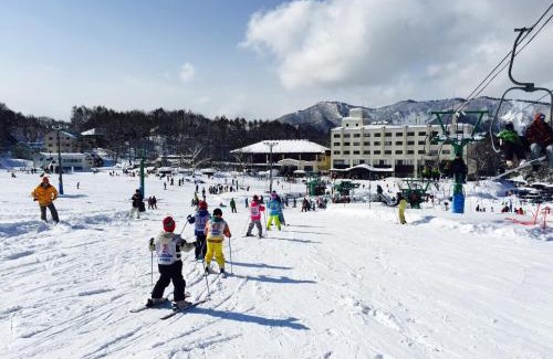 Yunokoya Onsen Hotel | Hotel Sunbird