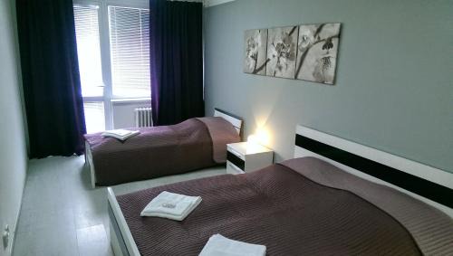 Steti Hotel | Hotel Terek