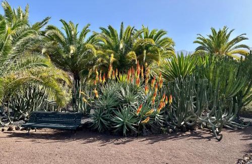 Puerto de la Cruz Hotel | Hotel Tigaiga
