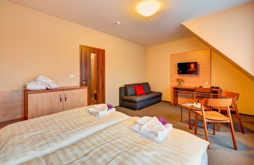 Lipova-Lazne Hotel | Hotel TOČ