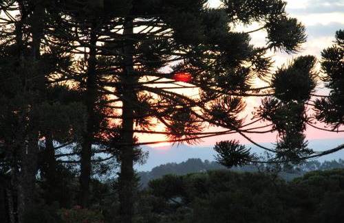 Campos do Jordao Hotel | Hotel Toriba