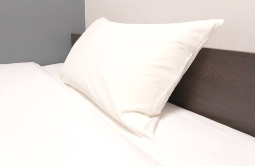 Okazaki Hotel | Hotel Trend Okazaki-Eki Mae